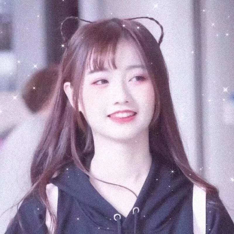 海盗岛：甲板上的家族