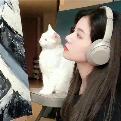 黑色达摩