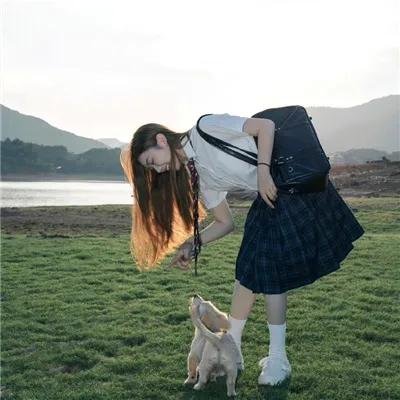 剧集综艺